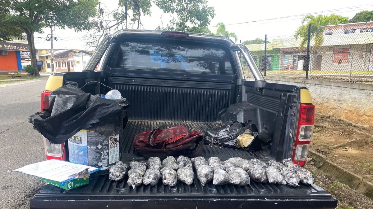 MiAmbiente y estamentos de seguridad capturan a presunto cazador de tortugas marinas
