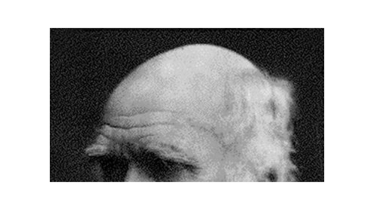 Charles Darwin obtiene más de 4.000 votos en elecciones de EEUU