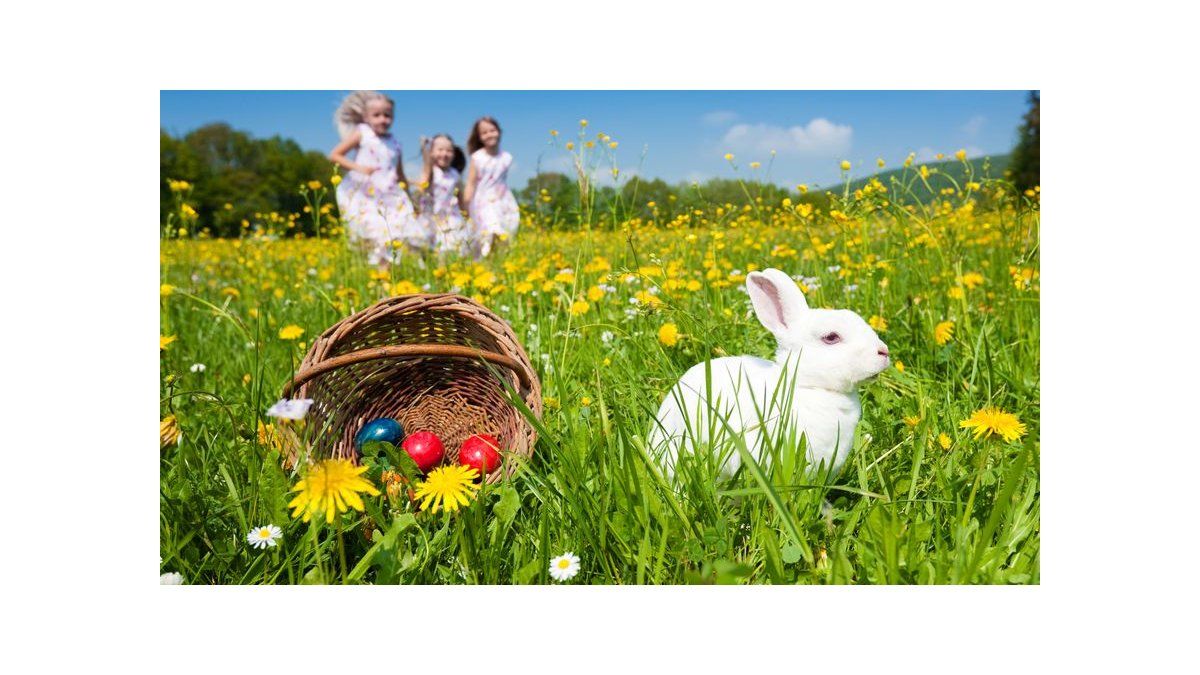 Conoce la historia del conejo de pascua