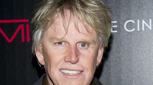 El actor Gary Busey.