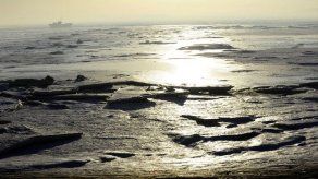 Contaminación y sobrepesca dejan casi sin peces a mar de Bohai