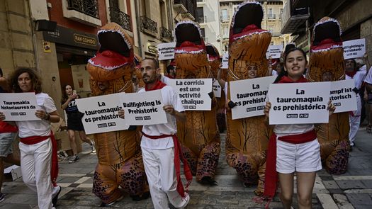 Los grupos defensores de los animales citan cifras del Ministerio de Cultura, que indican que el 90% de los españoles no asistieron a ningún evento festivo que involucrara toros en 2014-2015, la última vez que se hizo una encuesta sobre el tema.