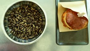 Los grillos ganan adeptos como alimento saludable en Tailandia