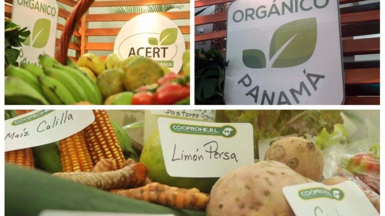 El MIDA lanza Orgánico Panamá, nuevo sello de certificación en la producción nacional