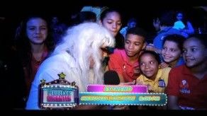 Dr. Pelotas con los Pequeños Gigantes