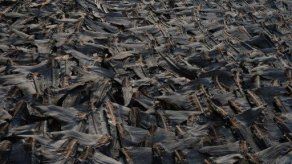 Meliá retira la aleta de tiburón de sus menús