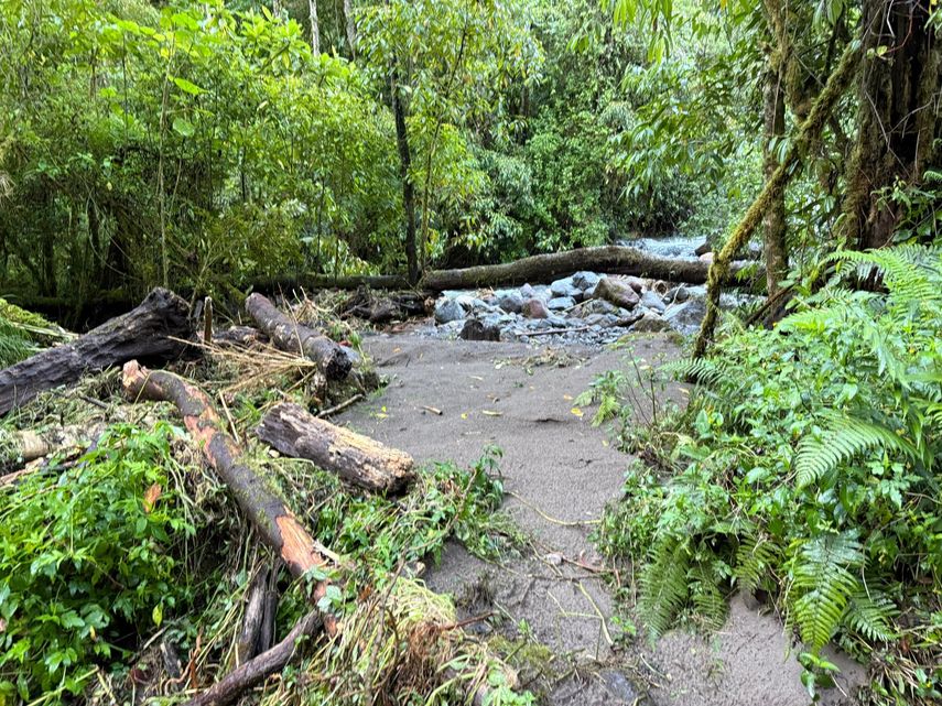 Sendero Los Quetzales
