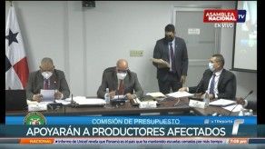 Aprueban traslado de partida por B/.995,684.00 al MIDA Aprueban traslado de partida por B/.995,684.00 al MIDA