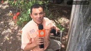 Mascota inusual provoca molestia a vecinos en Juan Díaz