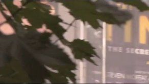 Spielberg: A Hergé le hubiese gustado mi película de Tintín