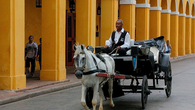 Cartagena prohíbe carruajes tirados por caballos. Cartagena prohíbe carruajes tirados por caballos.