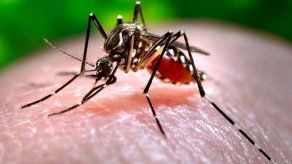Inicia campaña de prevención contra el dengue y chikungunya