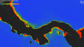 El golfo de Panamá pierde su pulso natural
