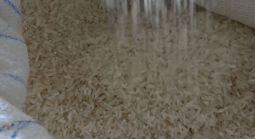 La producción de arroz para este ciclo agrícola está pronosticada en 90 mil hectáreas