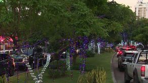 Meana: Se va a ir a licitación para el alumbrado navideño del 2023 en la capital