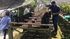 Empresa Chiquita Panamá&nbsp;