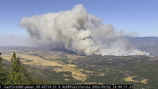 El incendio Mill ha quemado 3,6 kilómetros (1,4 millas cuadradas), según CAL FIRE.