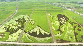 Ciudad de Gyoda celebra JJOO con enorme obra de arte en campo de arroz