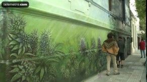 Uruguay abre “Biblioteca cannábica”