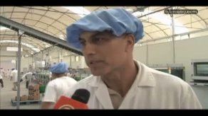 Todo listo para que el ají pimentón