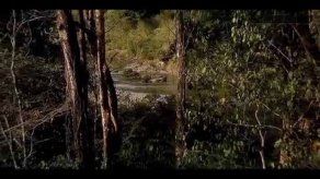 Barro Blanco