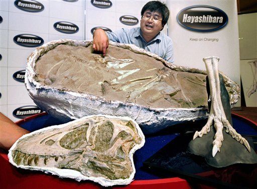 Descubren el esqueleto completo de un dinosaurio joven