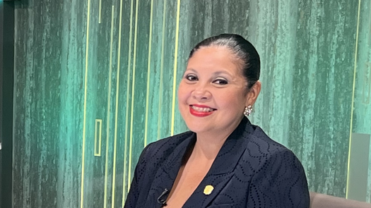 MOCA inicia investigación contra la representante de Ancón, Yamireth Batista.
