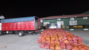 SENAFRONT decomisa cerca de 400 sacos de cebolla SENAFRONT decomisa cerca de 400 sacos de cebolla