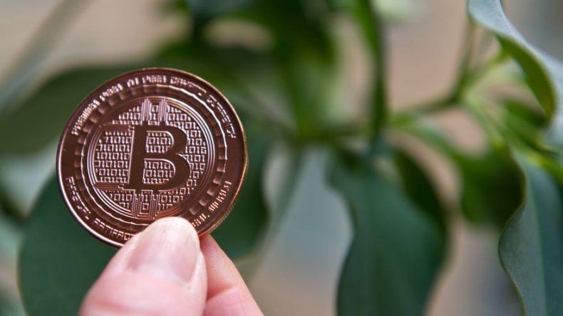 La familia que lo invirtió todo en bitcoins para vivir en un camping