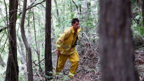 Bomberos atacan llamas en centro de California