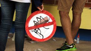 Militares brasileños y Rousseff declaran la guerra al zika en combate casa a casa