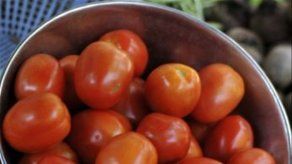 Una dieta con tomates reduce el riesgo de infarto en los hombres