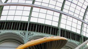 Encontrada en España una seta gigante de más de 12 kilos