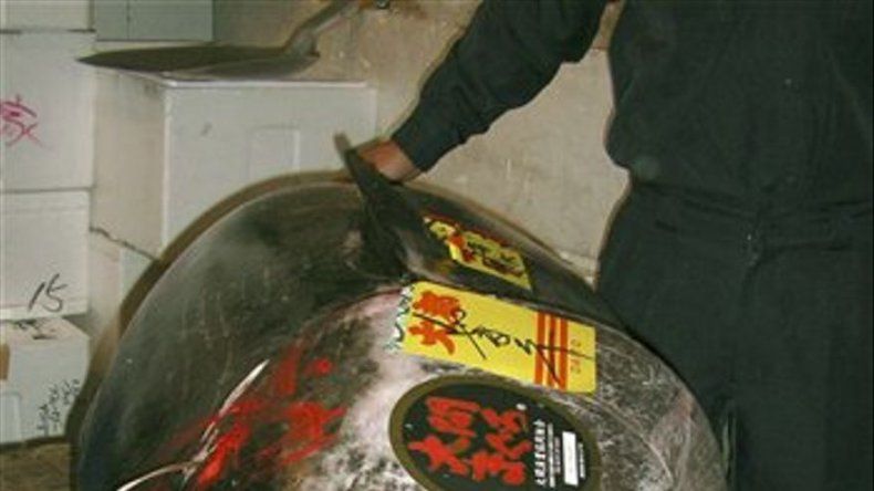Pagan 100 mil dólares por un solo atún en Tokio