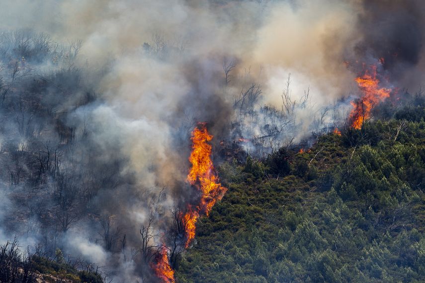 Portugal está sufriendo una sequía grave y también ha sido testigo de incendios forestales devastadores este verano.