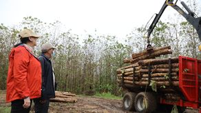 Esta cooperación se da con el fin de colaborar en el fortalecimiento de la gestión pública del sector productivo forestal panameño.
