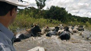 Linchan en Bolivia a tres hombres que robaban ganado