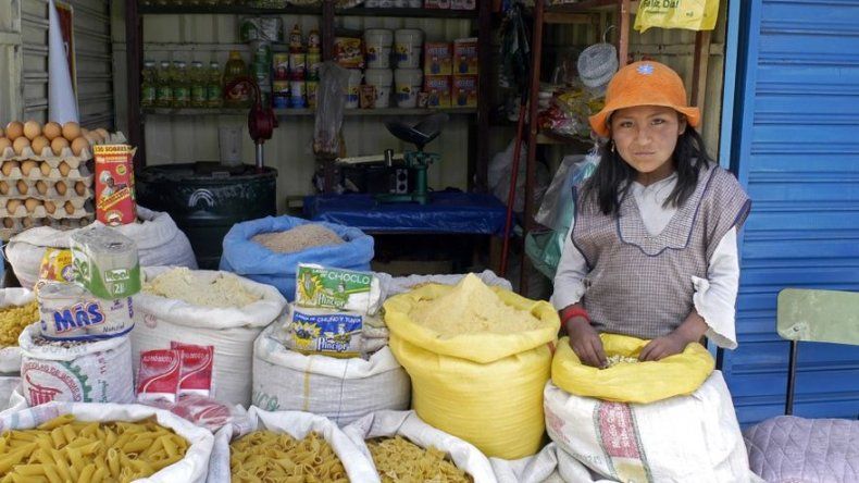 Niños bolivianos defenderán en OIT su trabajo desde 10 años