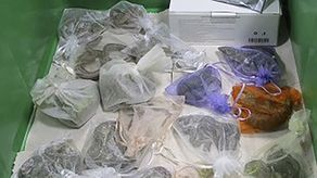 A Pérez le serán instruidos cargos el lunes en Los Ángeles.&nbsp;