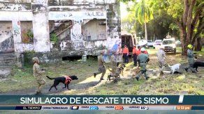 Tercer Simulacro Regional contará con la participación de 15 países
