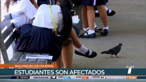 Colegios toman medidas ante casos de ciberbullying