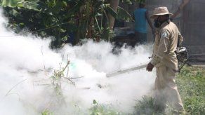 902 casos de dengue registrados en lo que va del año