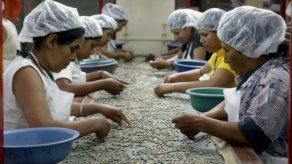 Exportaciones de café de Latinoamérica crecen 11