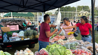 Agroferias del IMA. Agroferias del IMA.
