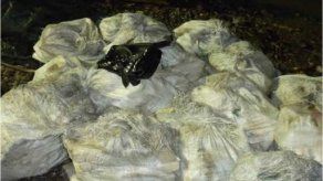 Logran incautación de 337 paquetes de cocaína en Darién