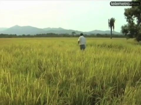 Martinelli: puede ser que no se cambie el Gabinete