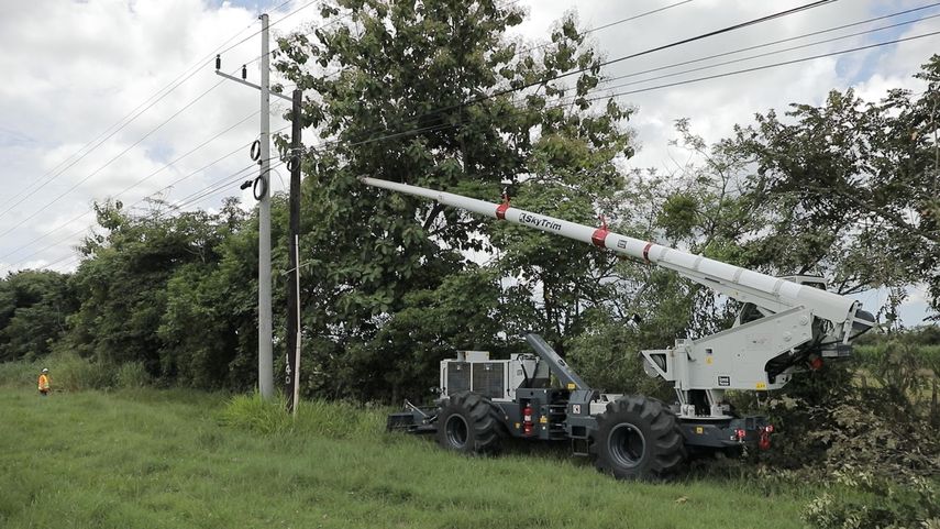 Naturgy reduce riesgos y cortes con una podadora telescópica.
