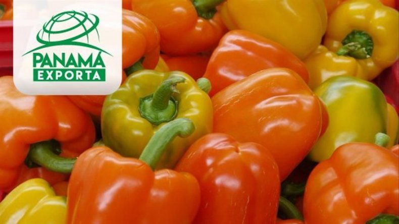 Gobierno lanza la marca país Panamá Exporta