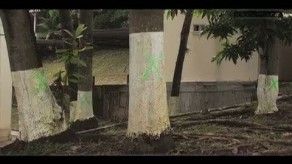Tregua por construcción de estacionamientos en Ancón terminó