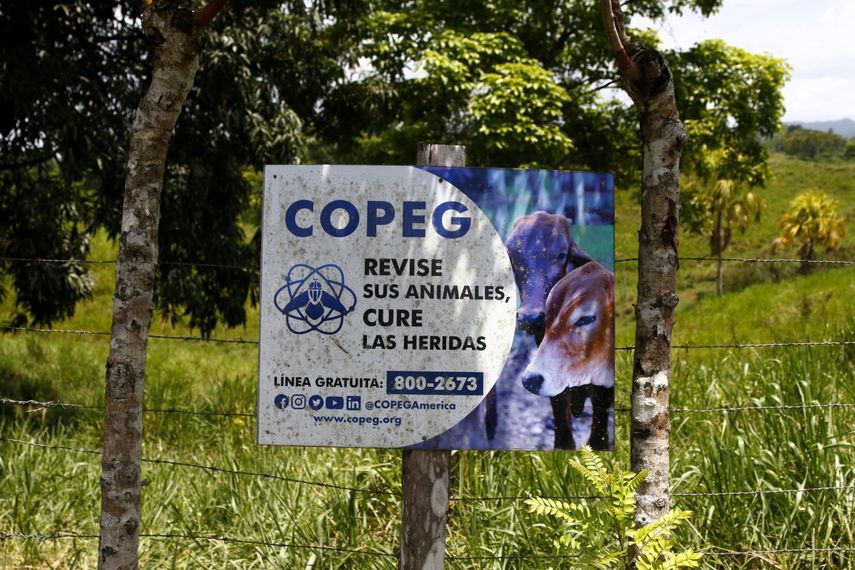 Comisión Panamá-Estados Unidos para la Erradicación y Prevención del Gusano Barrenador del Ganado (COPEG). Comisión Panamá-Estados Unidos para la Erradicación y Prevención del Gusano Barrenador del Ganado (COPEG).